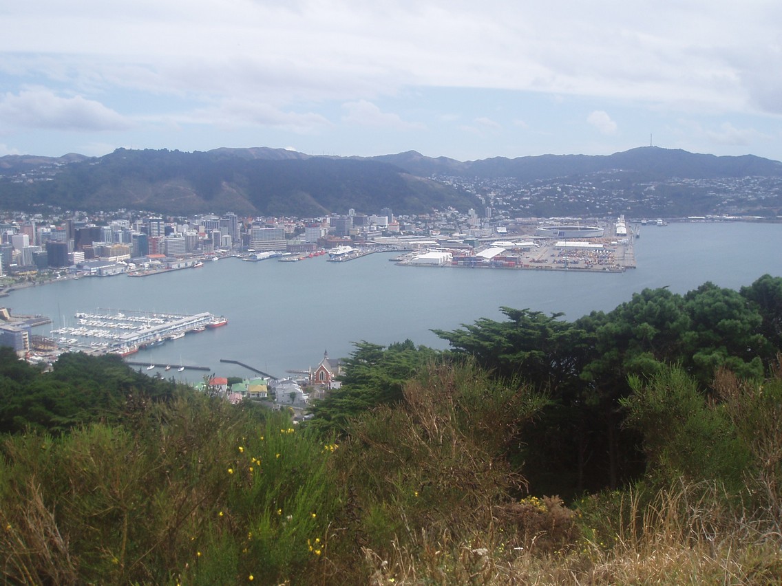 532   09 02   Wellington laatste dag